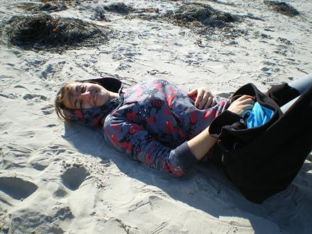 une an�mone �chou�e sur la plage..